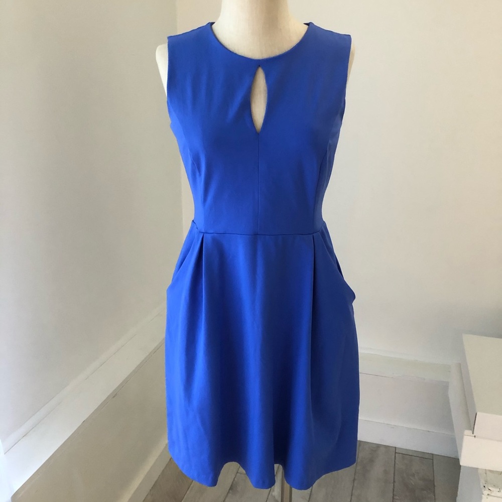 Cynthia Rowley Blue Fit and Flare Dress